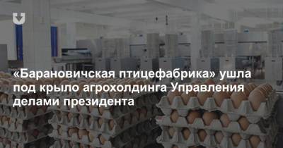 «Барановичская птицефабрика» ушла под крыло агрохолдинга Управления делами президента