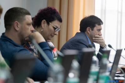 Места для школы на Украинской и детской больницы на Мира одобрили депутаты