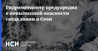Гидрометцентр предупредил о повышенной опасности схода лавин в Сочи