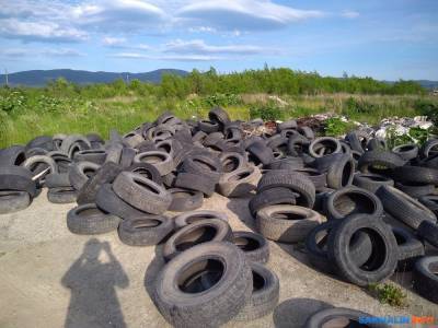 Весной на Сахалине хотят запустить "механизм массовой уборки шин"