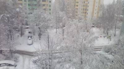 Жителей Европейской России предупредили о новой волне мощных снегопадов