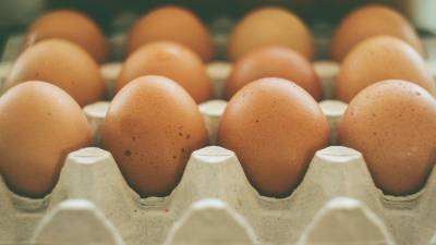 Диетолог Прунцева дала советы по выбору куриных яиц
