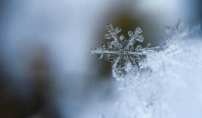 Снег, метель и мороз: синоптики рассказали о погоде в Башкирии