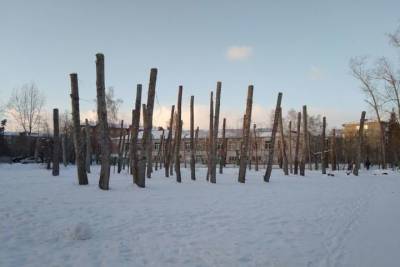 В Амурском посёлке мэрия Омска устроила зимнюю «стрижку» тополей