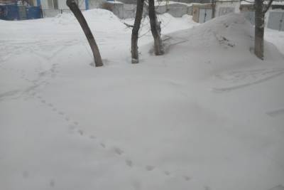 Обильный снегопад стал причиной закрытия трассы М-5 «Урал»