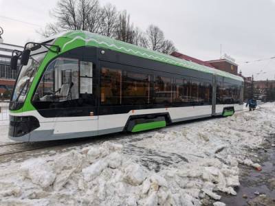 Трамвай «Корсар» вернется в Санкт-Петербург