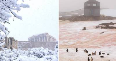 Афины и Ливию засыпало снегом, а в Антарктиде он порозовел