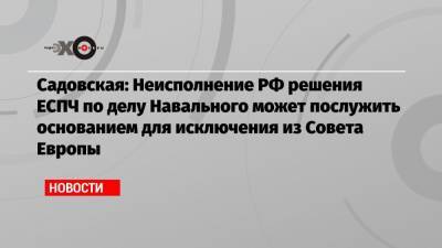 Садовская: Неисполнение РФ решения ЕСПЧ по делу Навального может послужить основанием для исключения из Совета Европы
