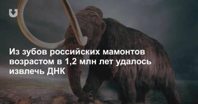 Из зубов российских мамонтов возрастом в 1,2 млн лет удалось извлечь ДНК