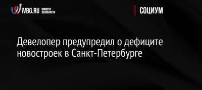 Девелопер предупредил о дефиците новостроек в Санкт-Петербурге