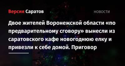 Двое жителей Воронежской области «по предварительному сговору» вынесли из саратовского кафе новогоднюю елку и привезли к себе домой. Приговор