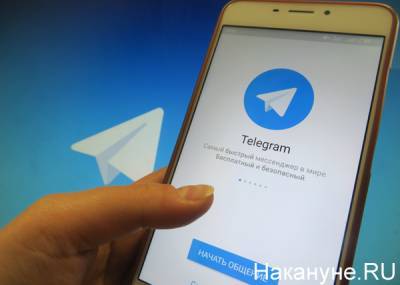 Павел Дуров - Telegram заблокировал канал "Рынок шкур" за нарушение правил - nakanune.ru