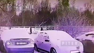Появилось видео нападения разбойника с ножом на медсестру в Невском районе