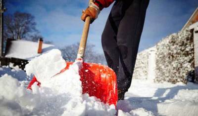 Аномальный снегопад вынудил москвичей скупать лопаты