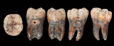 Зуб юного неандертальца раскрыл связь с современными людьми
