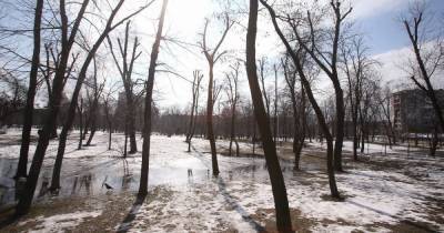 Сильные морозы заменит оттепель: в Украину идет резкое потепление