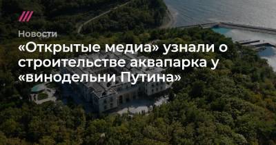 «Открытые медиа» узнали о строительстве аквапарка у «винодельни Путина»