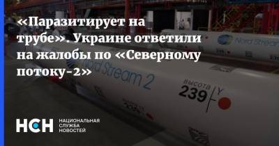 «Паразитирует на трубе». Украине ответили на жалобы по «Северному потоку-2»