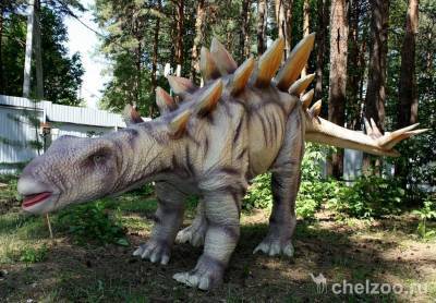 Челябинский зоопарк объявил торги на поставку динозавров