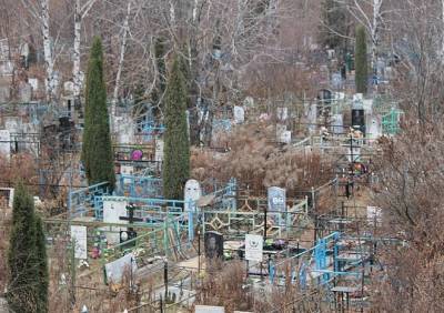 Депутаты гордумы обсудили расширение кладбища «Богородское-2»