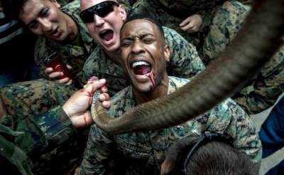 Военнослужащим США запретят пить кровь кобры во время учений на выживание в джунглях?