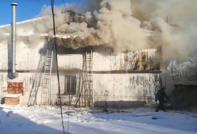 Видео: крупный пожар на заводе деревянных изделий в Кировске локализовали
