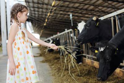 Коровье молоко может быть смертельно опасным для детей