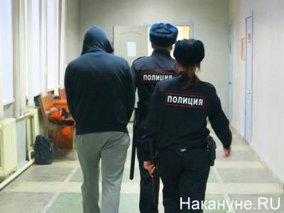 Екатеринбургского менеджера судят за удар полицейского во время дебоша в отеле