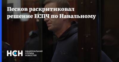 Песков раскритиковал решение ЕСПЧ по Навальному
