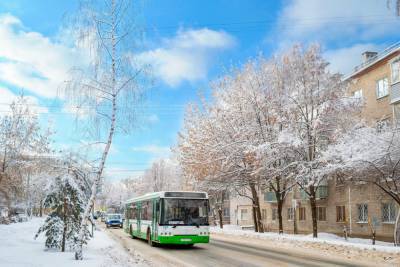 Погода в Рязанской области 19 февраля: ночью до -30 градусов