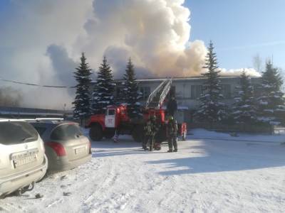 В Кировске тушат пожар на заводе деревянных изделий — фото, видео