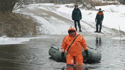 Путин оценил принятые для локализации паводков и пожаров меры