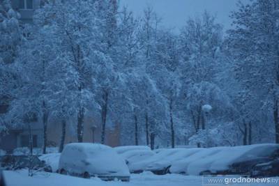 МЧС Беларуси предупреждает об усилении морозов