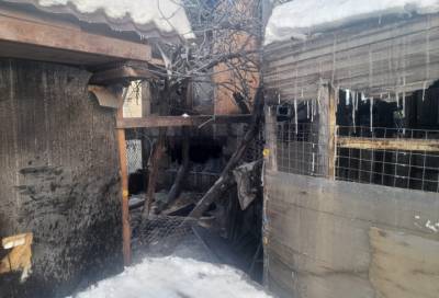 В Колпино полицейские спасли пенсионеров и собаку из горящего частного дома