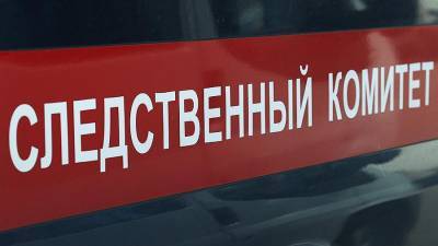 СК возбудил дело о покушении на убийство женщин и ребенка в Подмосковье