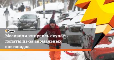 Москвичи кинулись скупать лопаты из-за аномальных снегопадов