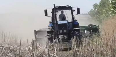 Снижение НДС для производителей аграрного сырья уничтожит перерабатывающую отрасль в Украине, - эксперт