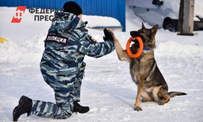 Кинологи Урала раскрыли секреты особой подготовки собак