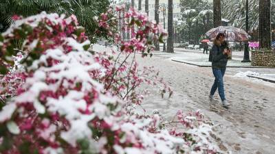Более 10 тыс человек остались без света из-за снегопада в Сочи