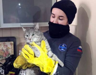 Спасатели вызволили кота Василия, застрявшего в квартире в Москве
