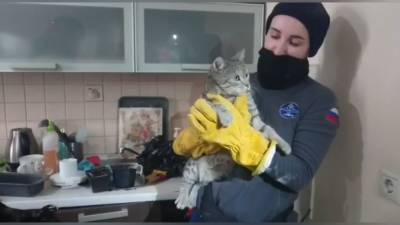 Спасатели помогли коту выбраться из сантехнического шкафа..
