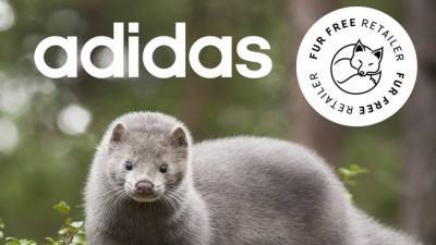 Спортивный бренд Adidas отказался использовать натуральный мех животных