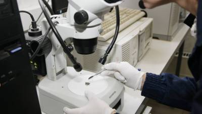 Российские ученые начнут искать древние вирусы