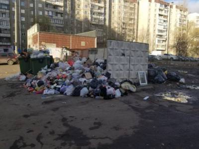 "Тагильчане стали больше мусорить". Осенние замеры ТКО превысили действующие нормативы