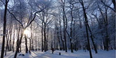 Солнечная и очень холодная пятница: где в Украине 19 февраля ударят морозы ниже -20