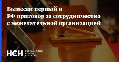 Анастасия Шевченко - Вынесен первый в РФ приговор за сотрудничество с нежелательной организацией - nsn.fm - Ростов-На-Дону