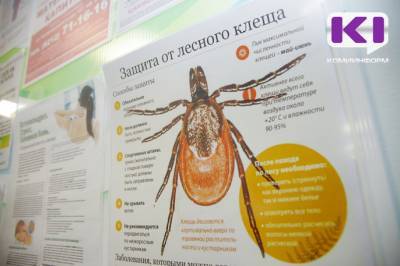 Минздрав Коми объявил о начале вакцинации от клещевого энцефалита - komiinform.ru - респ. Коми - Сыктывкар - Сысольск