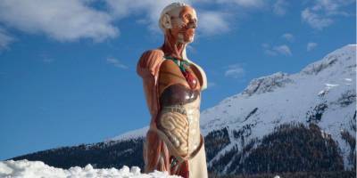Внутренности на фоне гор. Дэмиен Херст поделился фото скульптуры со своей выставки в Швейцарии