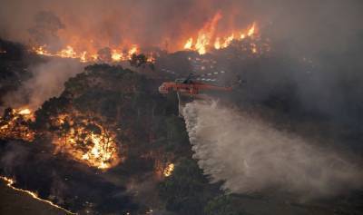 Пожары 2020-го уничтожили в Австралии 116 местных видов растений