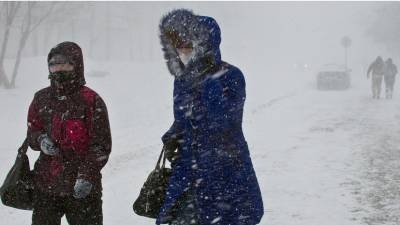 Спасатели предупредили о метелях и порывах ветра до 20 м/с в Томской области